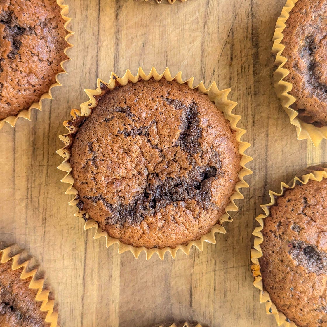 Chocolate Protein Muffins