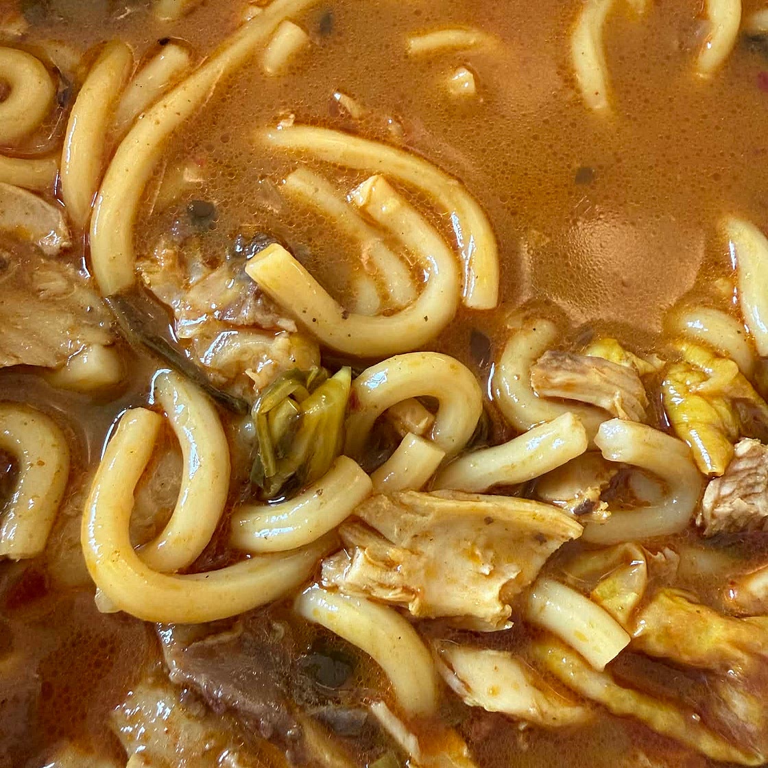 Udon noodles soup
