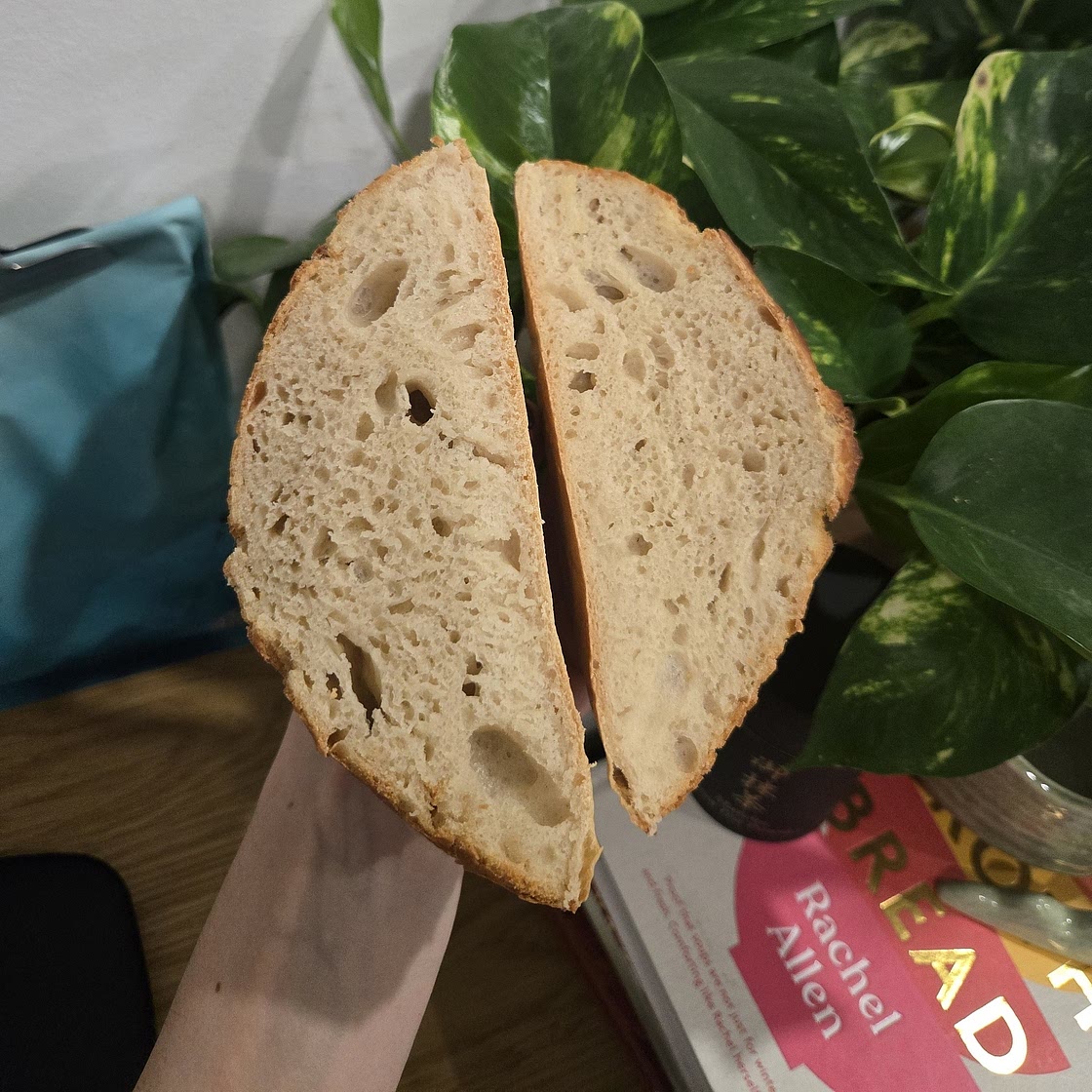 World's Easiest Yeast Bread recipe - Artisan, NO KNEAD