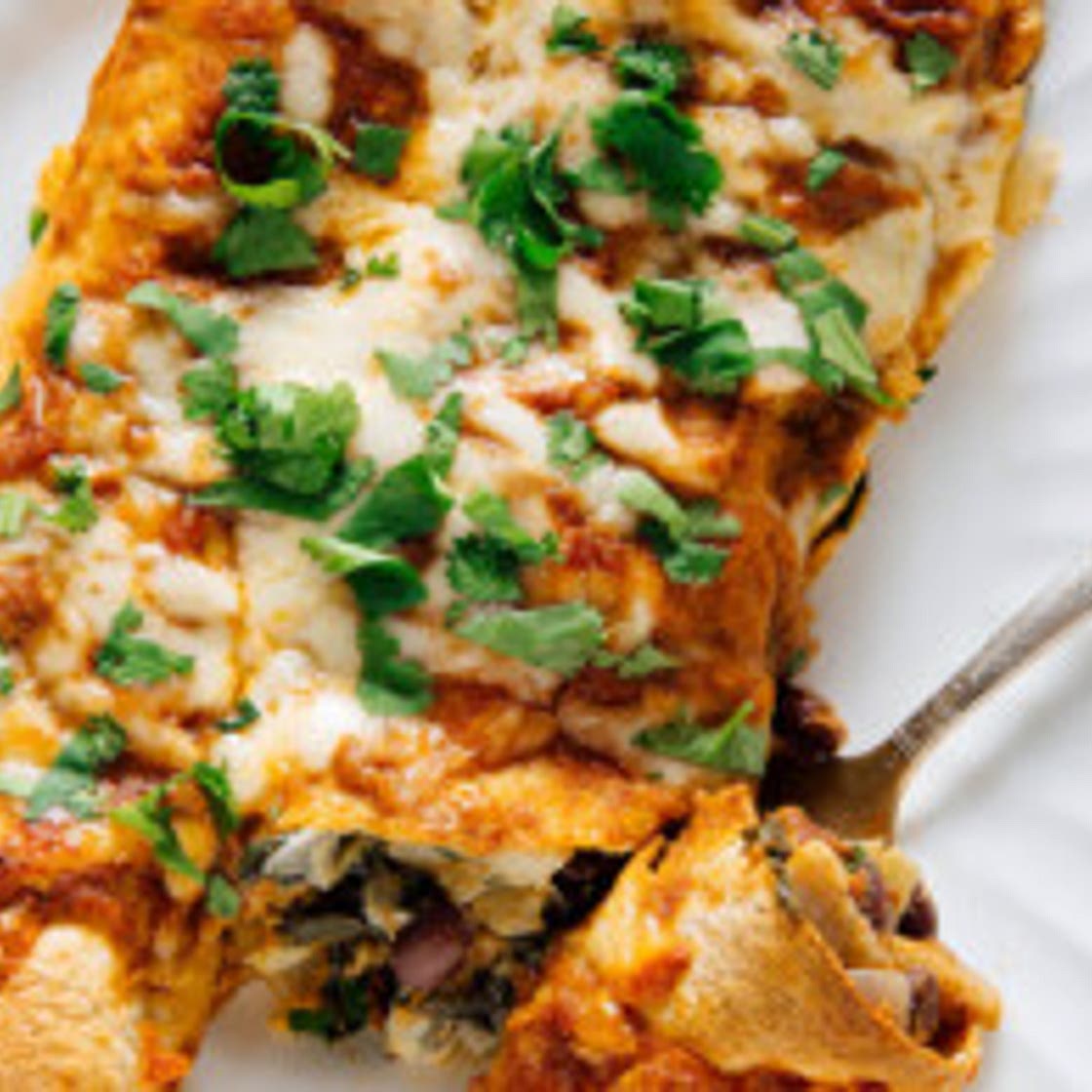Spinach Artichoke Enchiladas