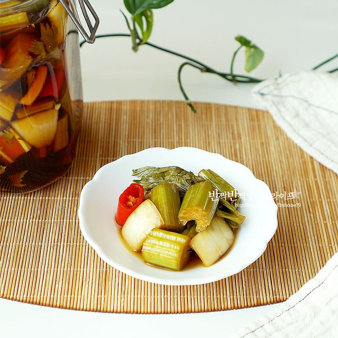 샐러리 먹는법 손질 샐러리 장아찌 샐러리잎 샐러리요리