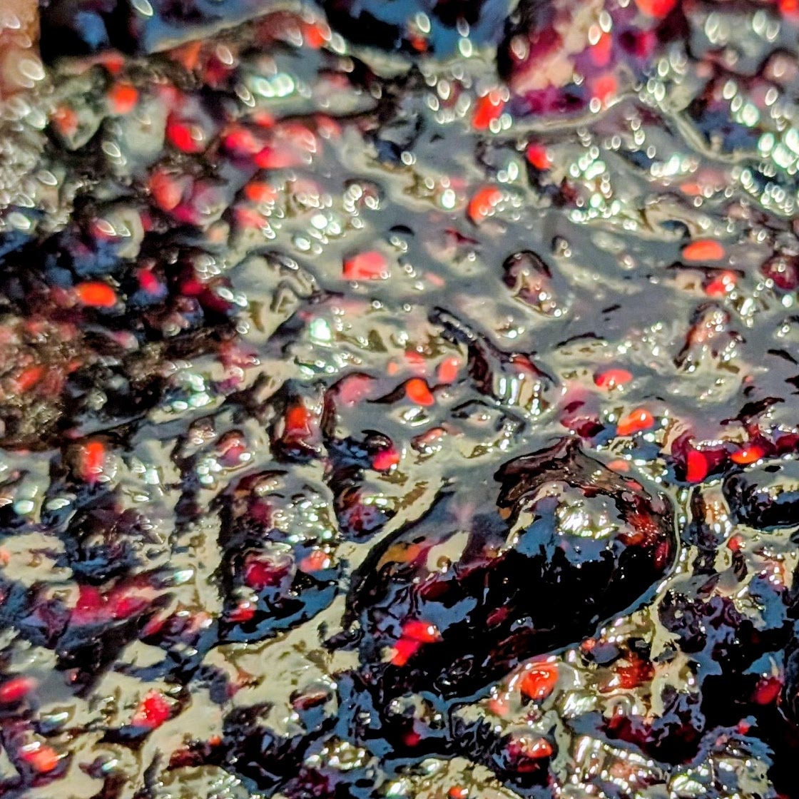 Mixed Berries Fire Jam