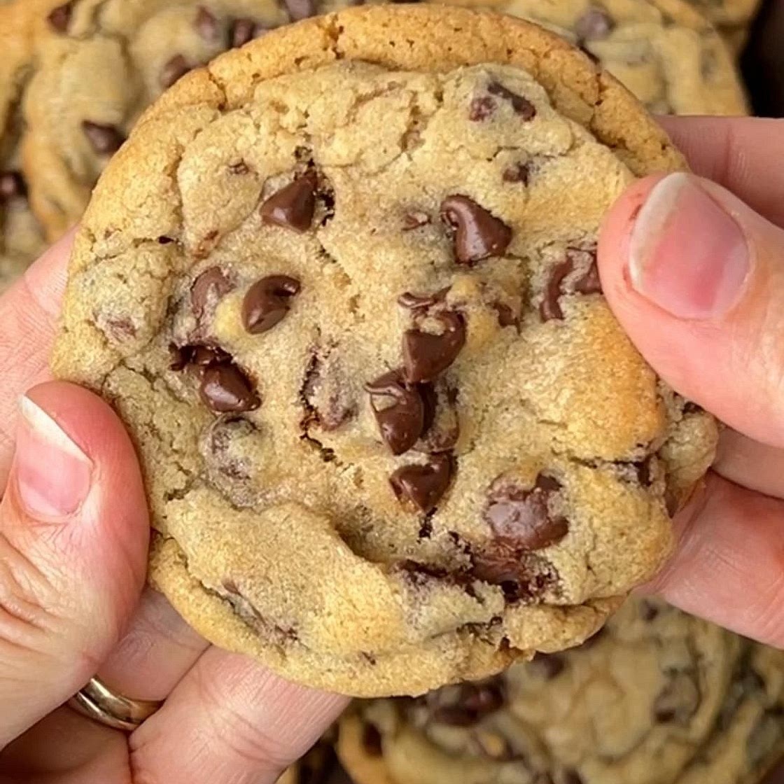 Chocolate Chip Cookies