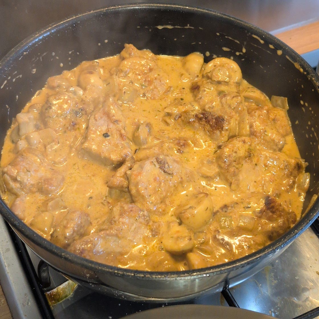 Pork Tenderloin in Creamy Mushroom Sauce and Pasta dinner