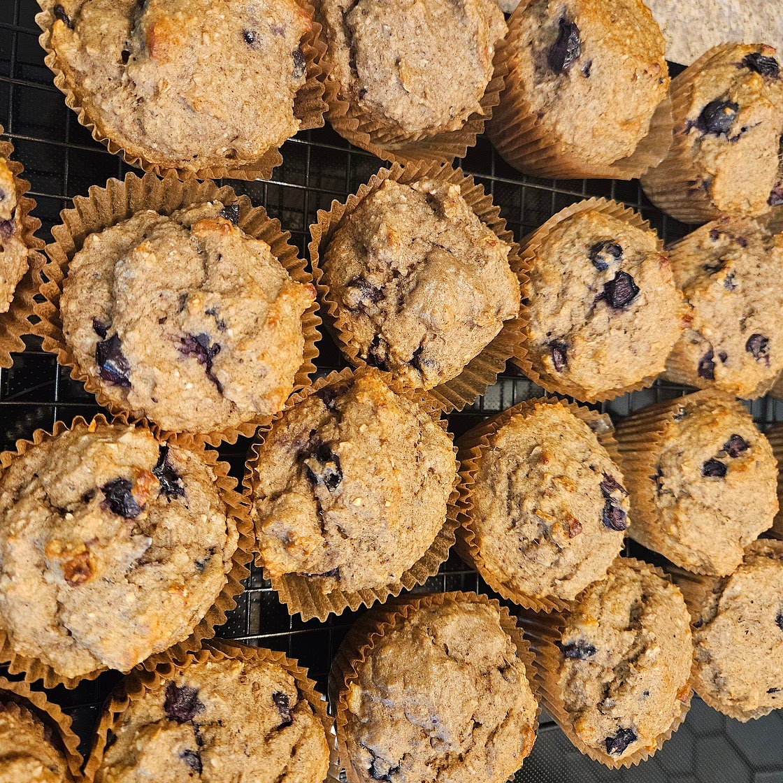 Blueberry oat and walnut protein muffins