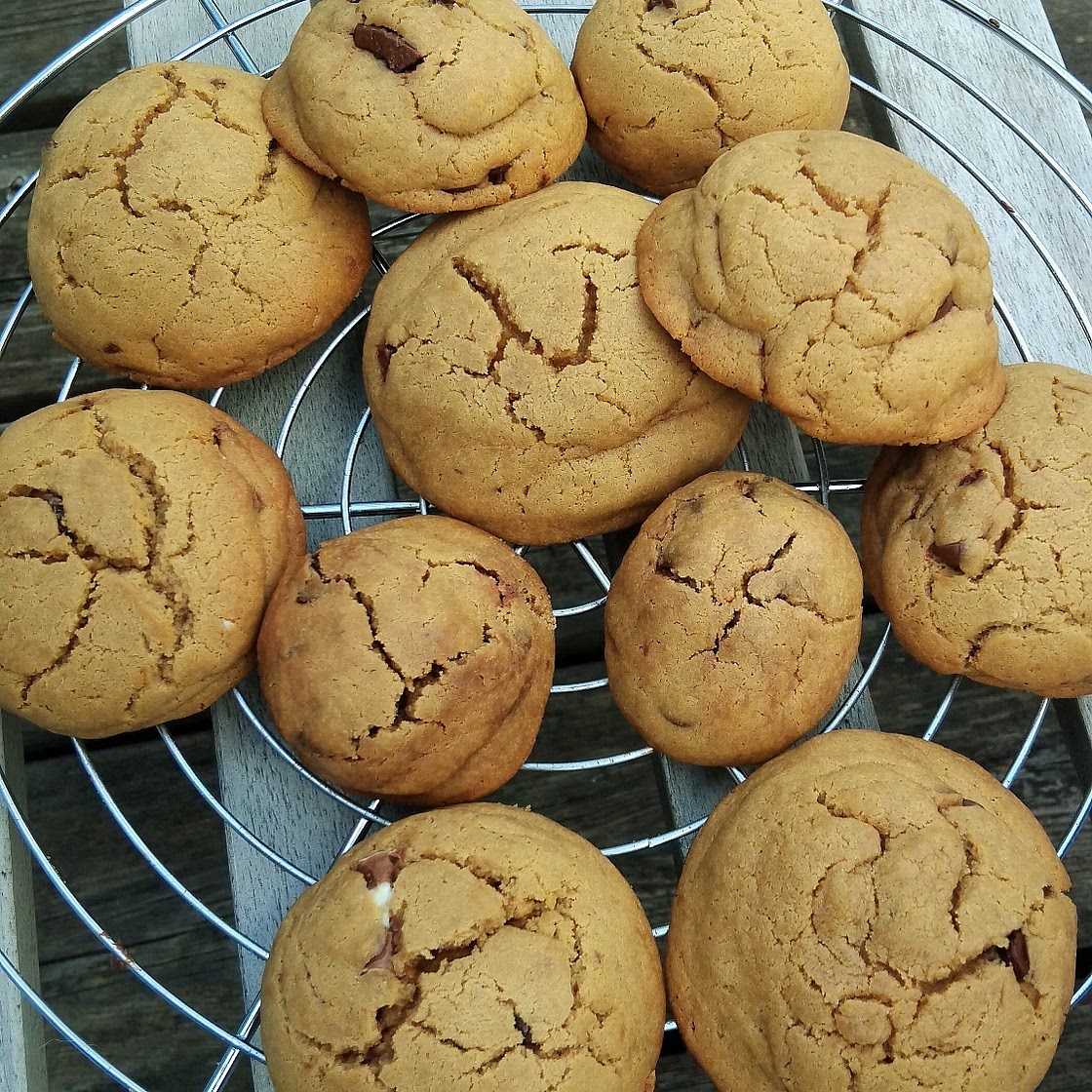 Chewy Chocolate Chip Cookies