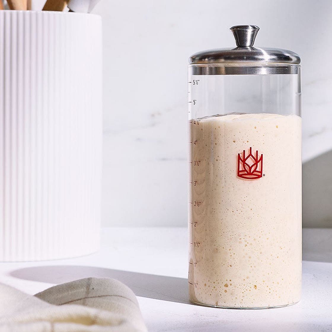Sourdough Starter