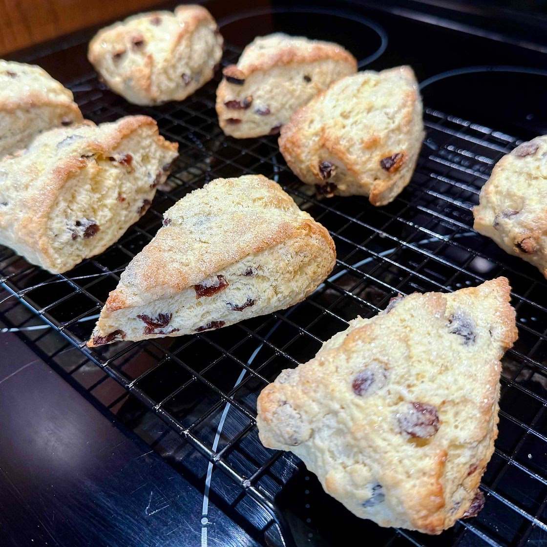 Newman Welsh Scones