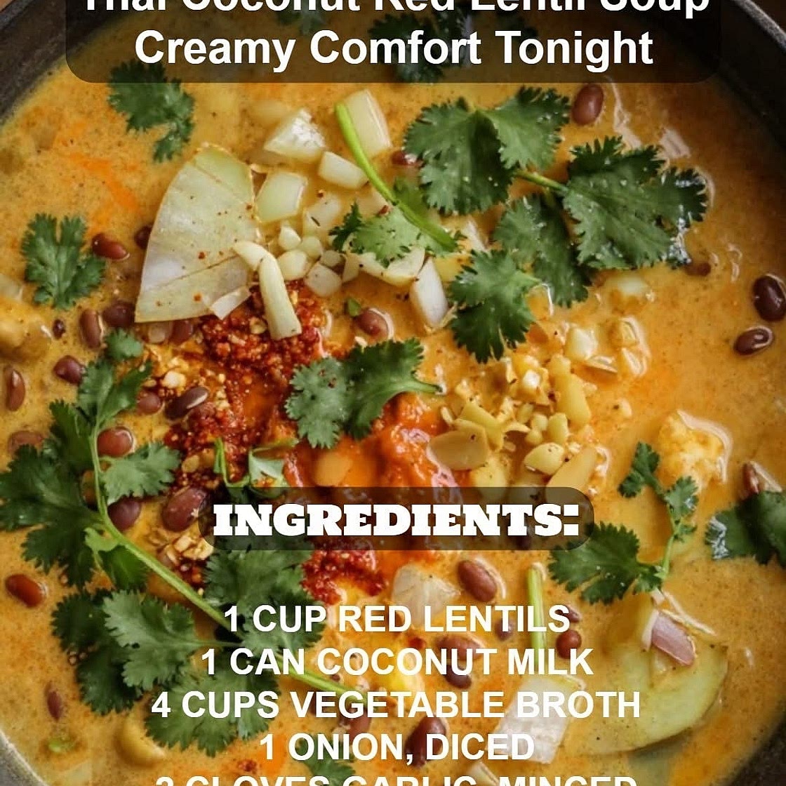 Vegan coconut lentil soup
