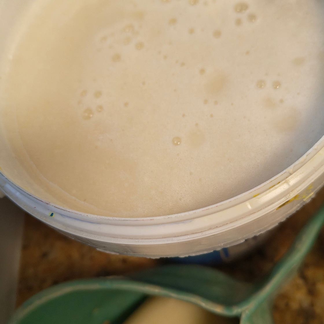 Obvara raku recipe NOT FOOD!