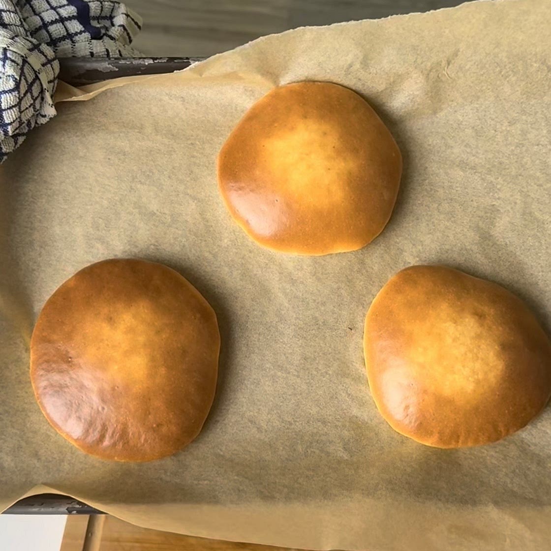 Carnivore buns