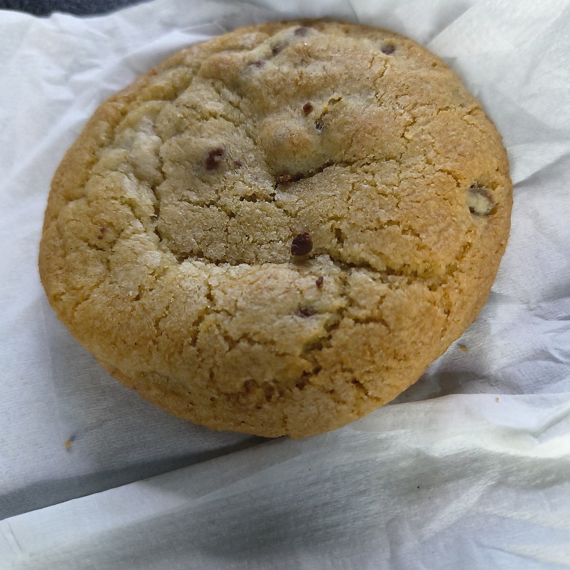 The Best Chocolate Chip Cookie Recipe Ever