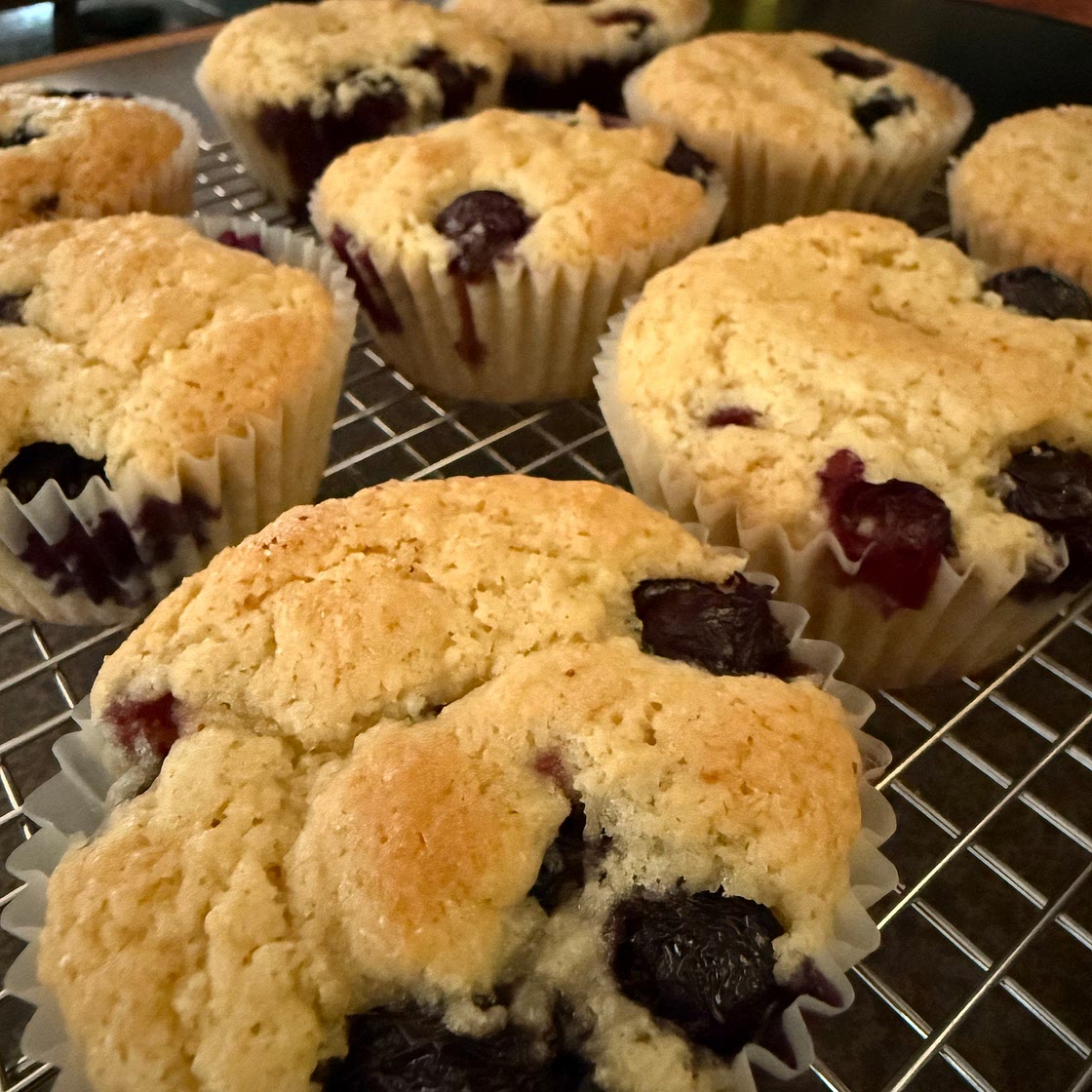 Easy Blueberry Muffins