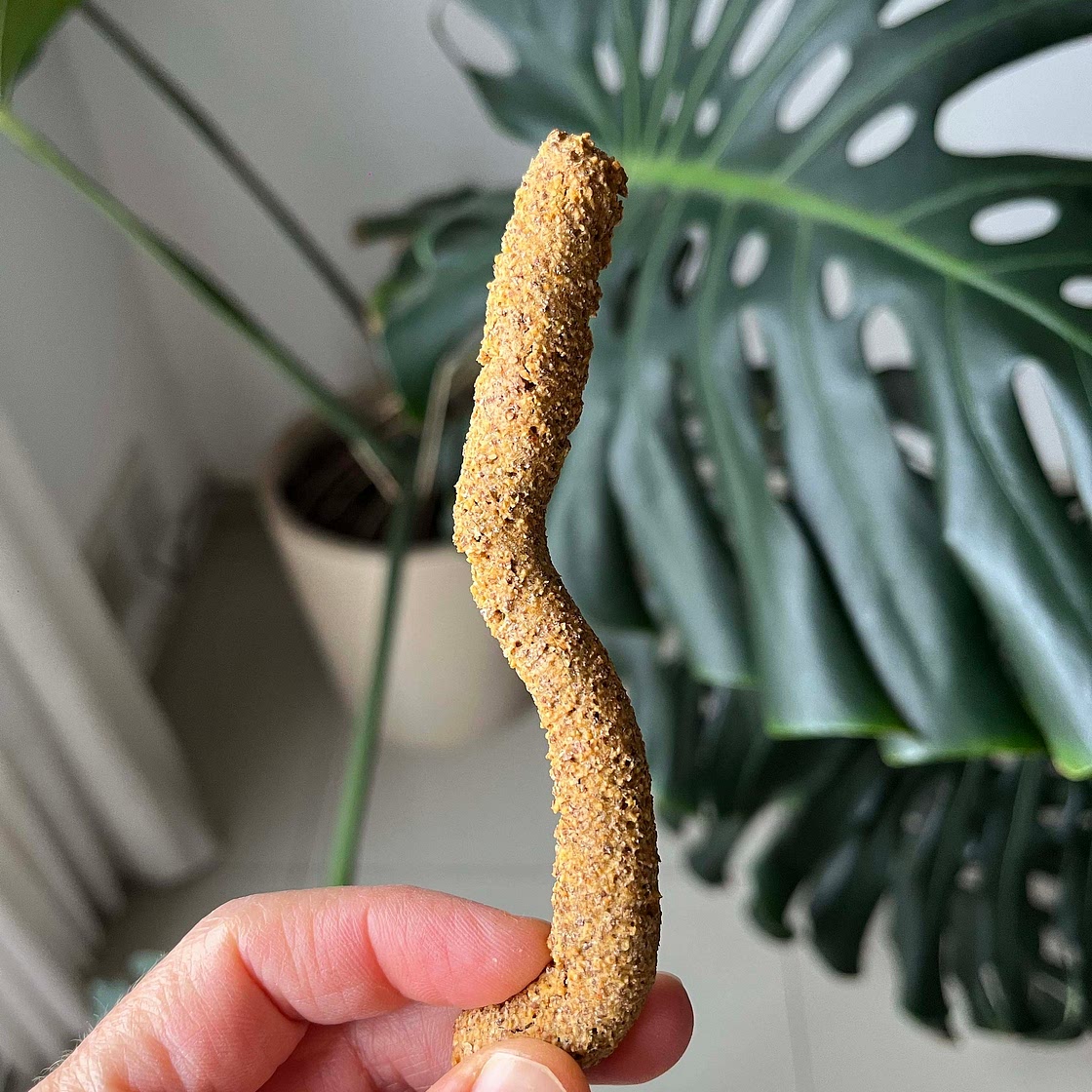 Bastones de garbanzo