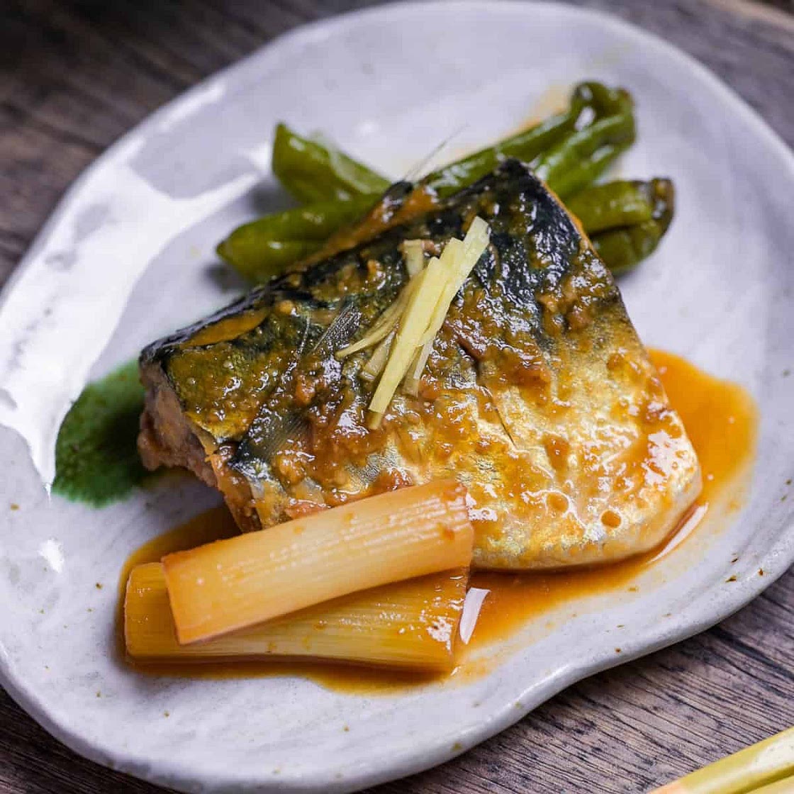Simmered Miso Mackerel (Saba no Misoni)