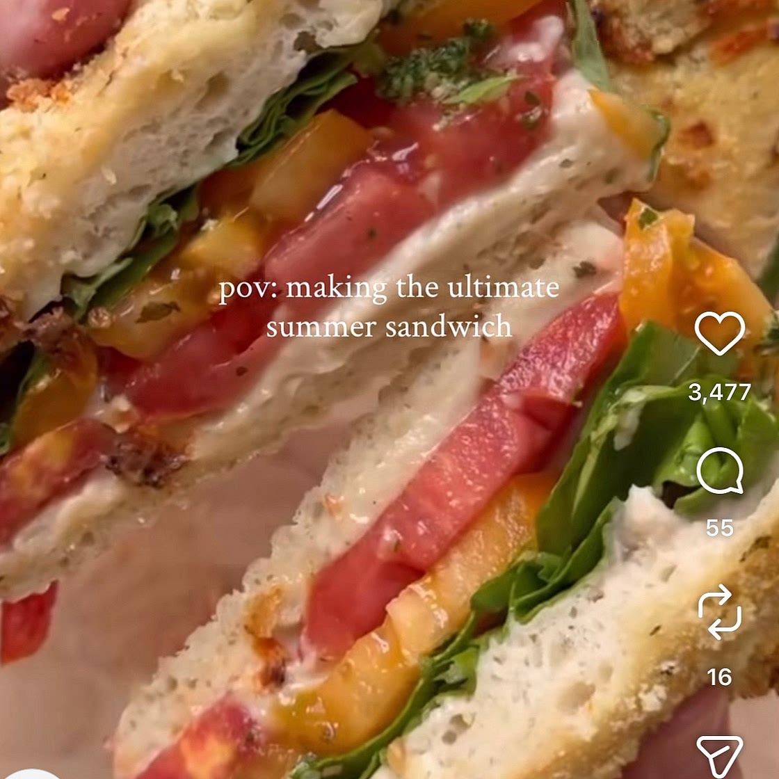 Tomato focaccia sandwich