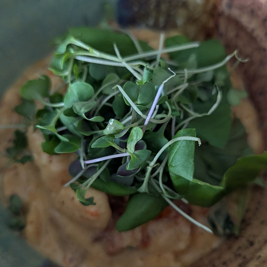 Marry Me Butter Beans (With Creamy Tuscan Sauce)