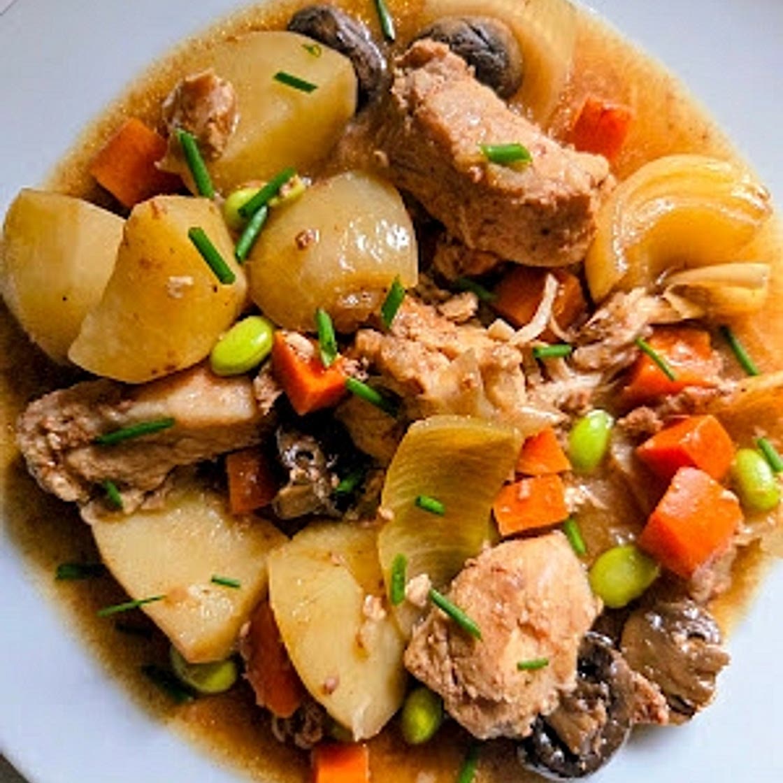 Slow Cooker Pork Stew