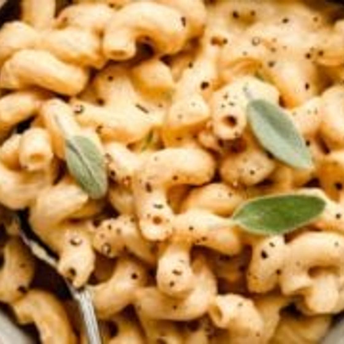 Vegan Butternut Squash Mac And Cheese