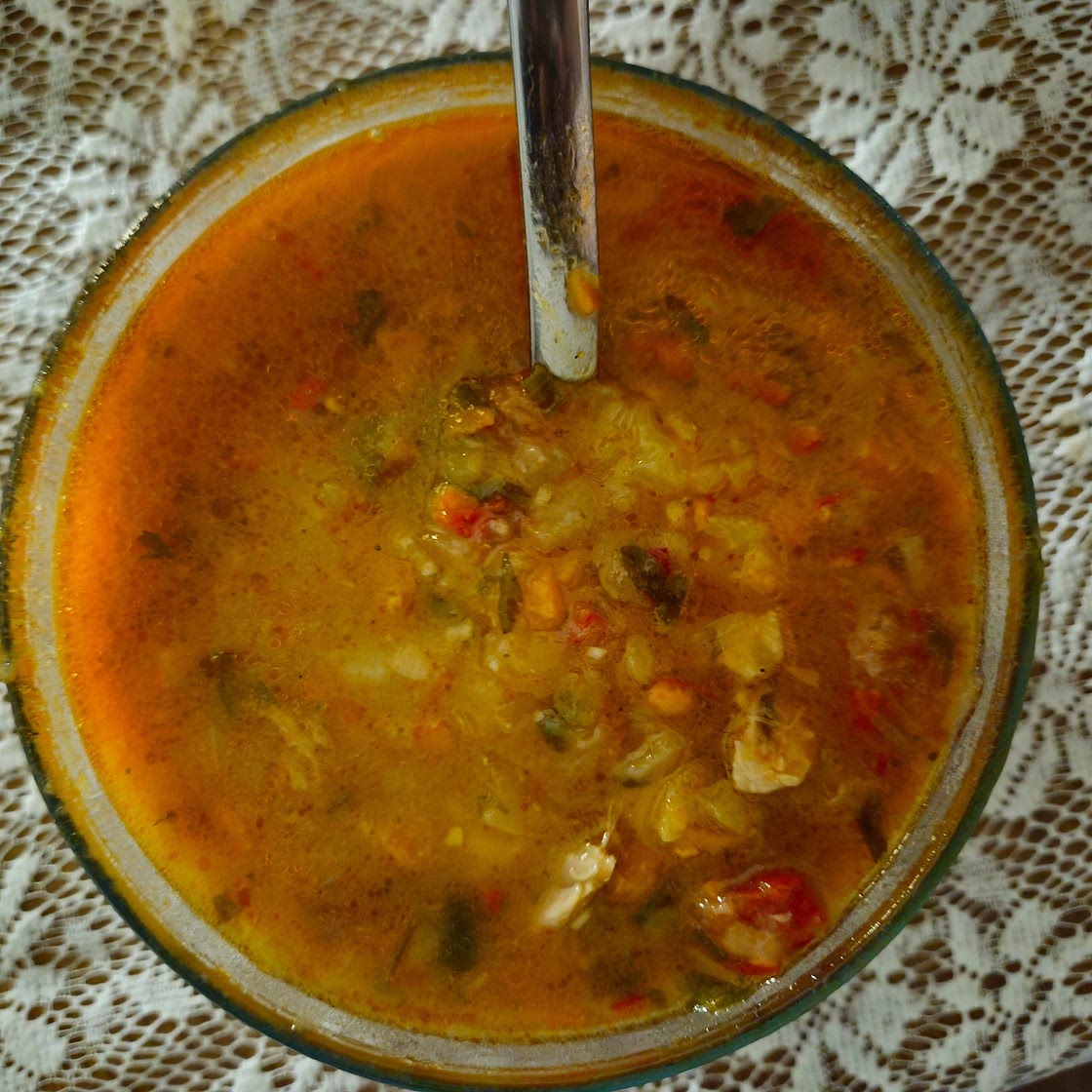 GOLDEN IMMUNE-BOOSTING CHICKEN STEW