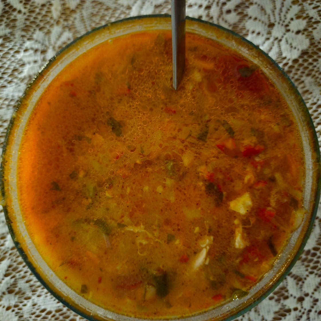 GOLDEN IMMUNE-BOOSTING CHICKEN STEW