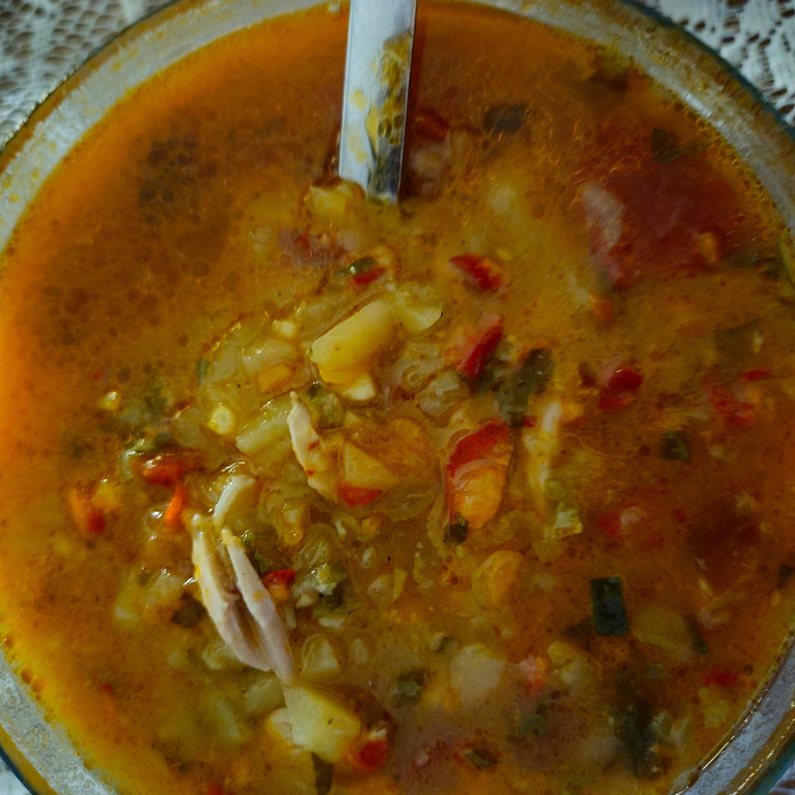 GOLDEN IMMUNE-BOOSTING CHICKEN STEW