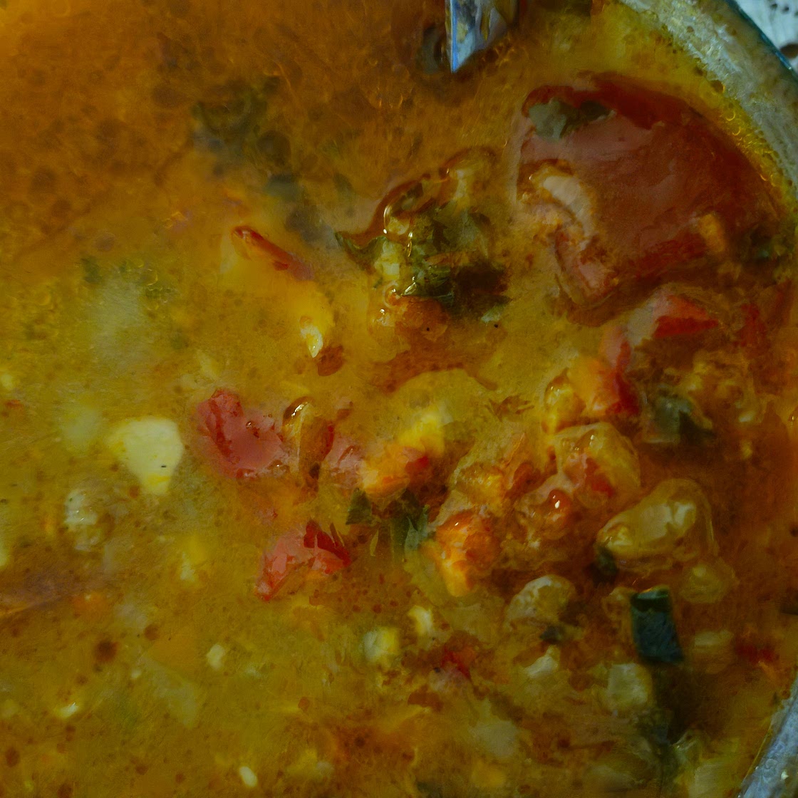 GOLDEN IMMUNE-BOOSTING CHICKEN STEW
