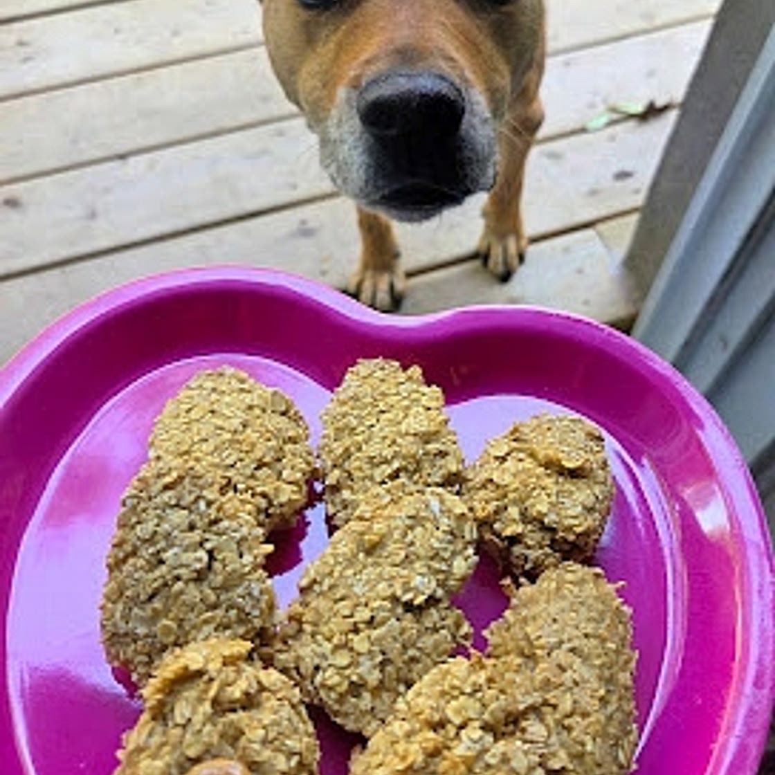 Yummy Oatmeal Applesauce Doggie Cookies