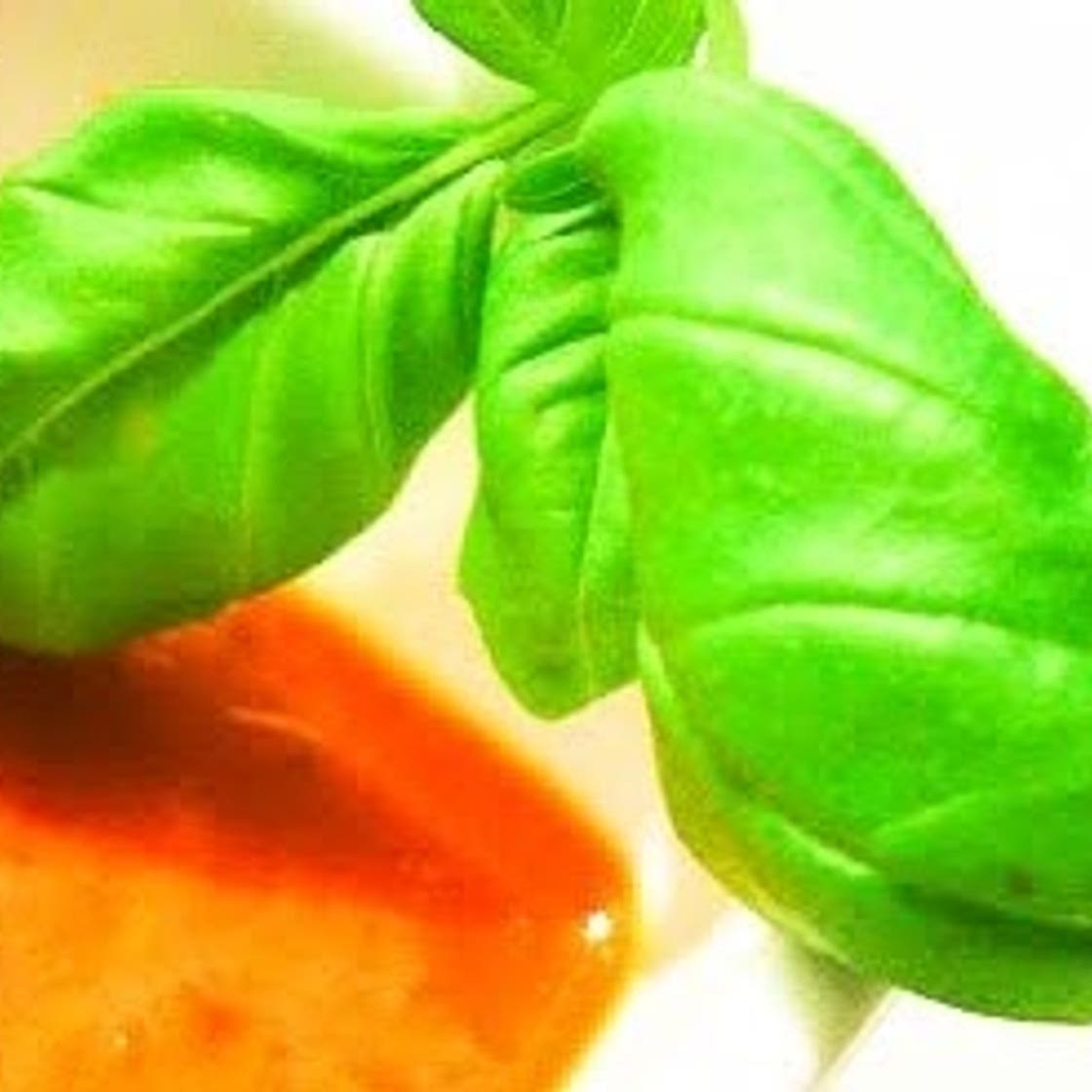 Four Tomato & Red Pepper Soup