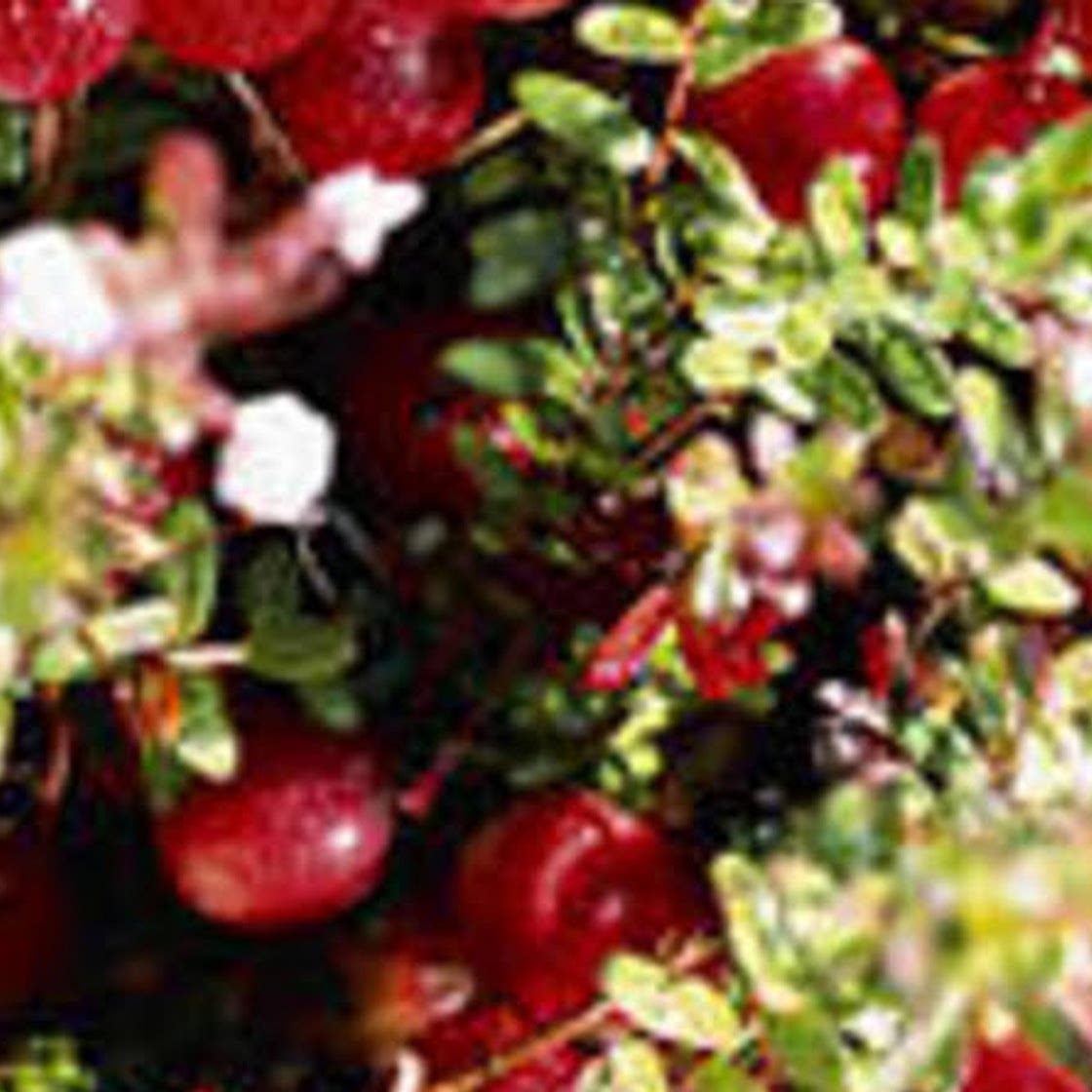 5 Homemade Spa Treatments from Holiday Leftovers