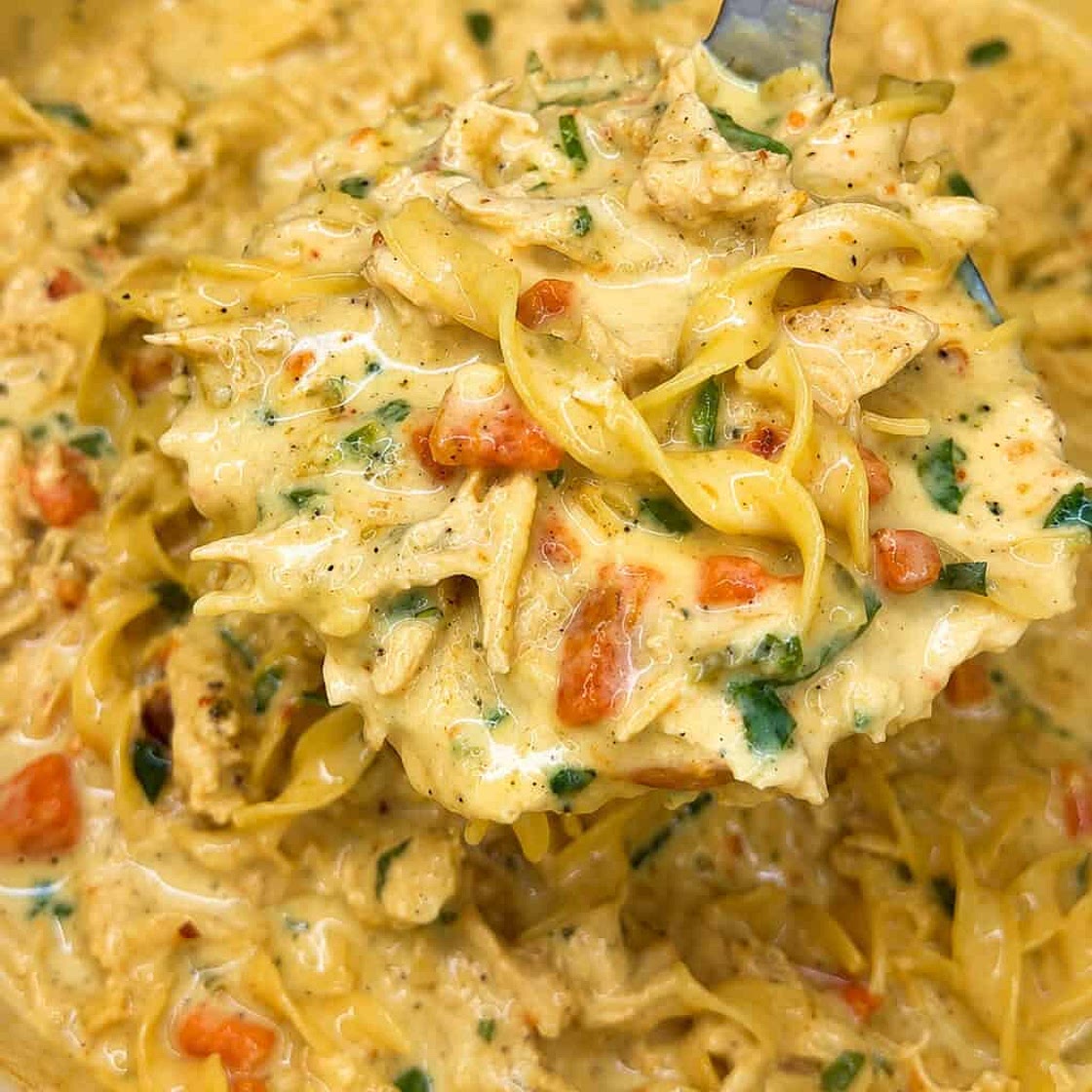 Creamy Chicken Noodle Soup 🍲