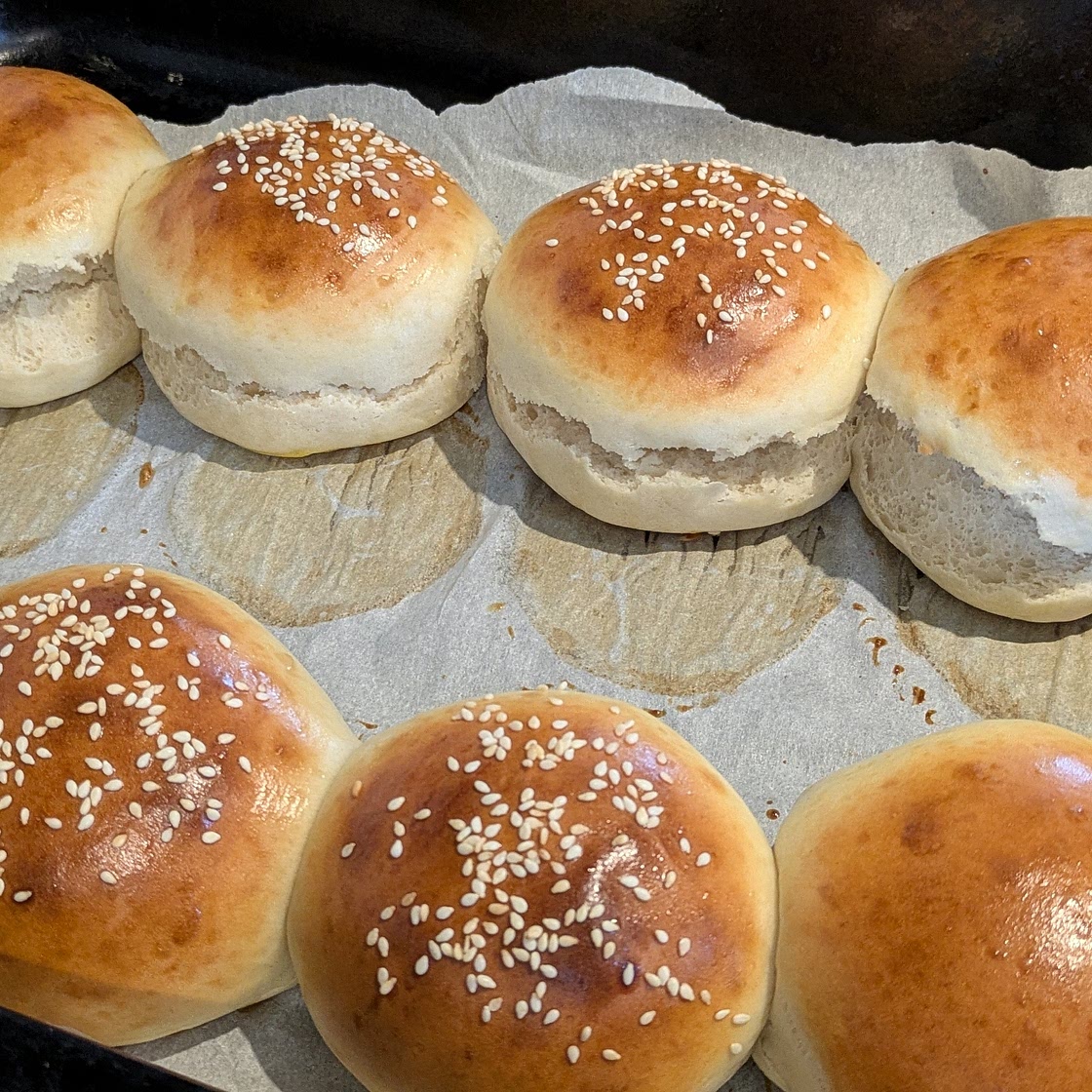 40 minute hamburger buns