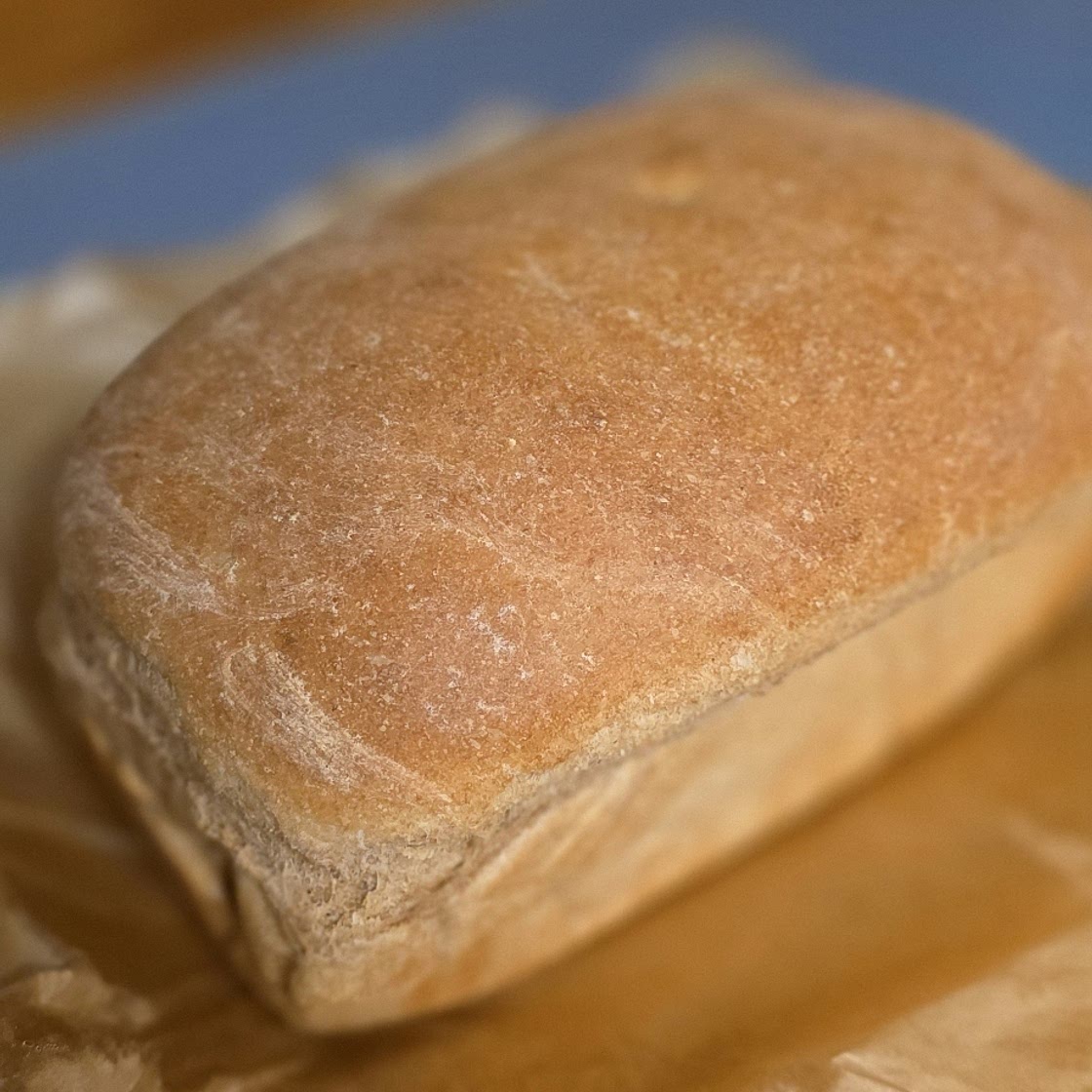 Fresh Milled Honey Softie