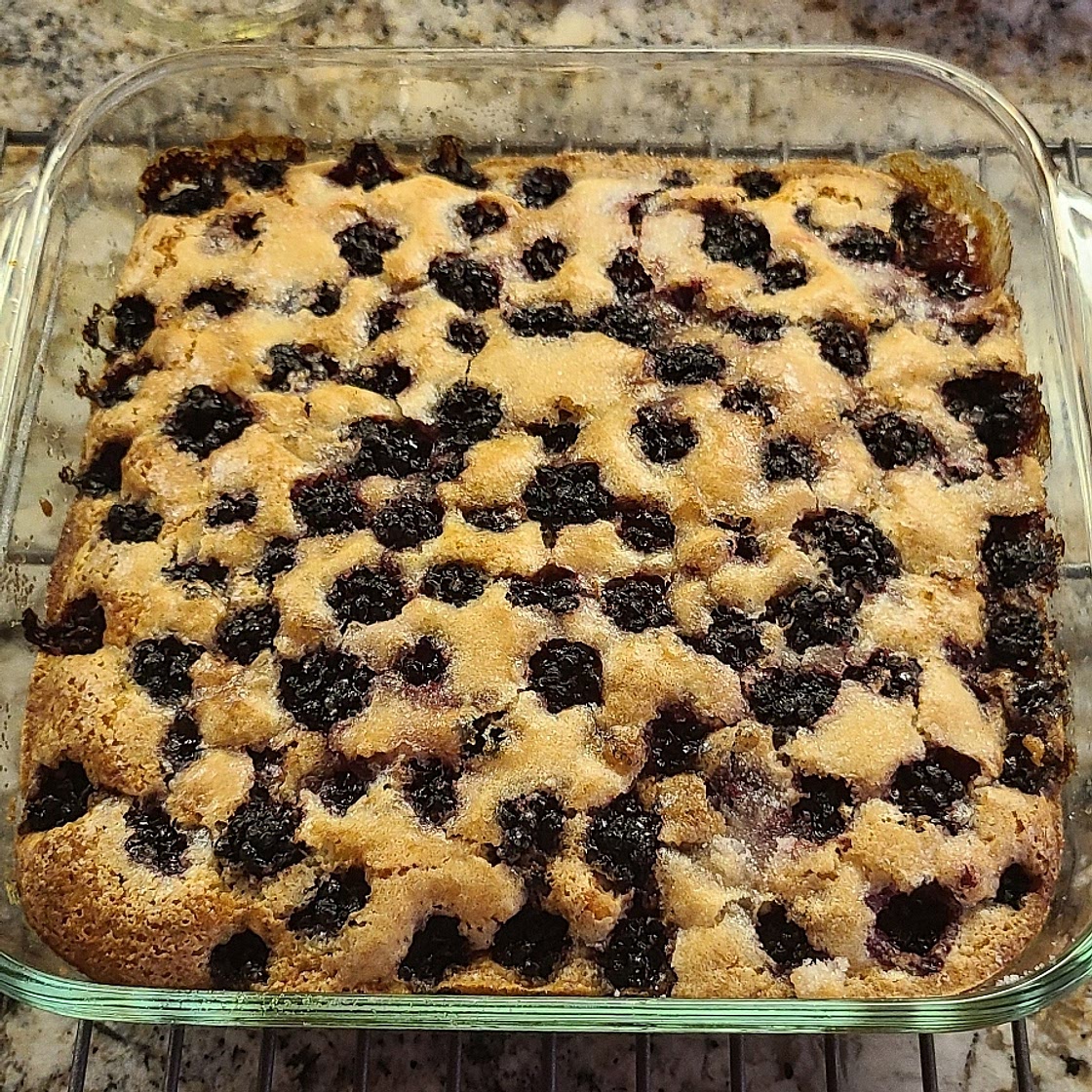 Blackberry Cobbler
