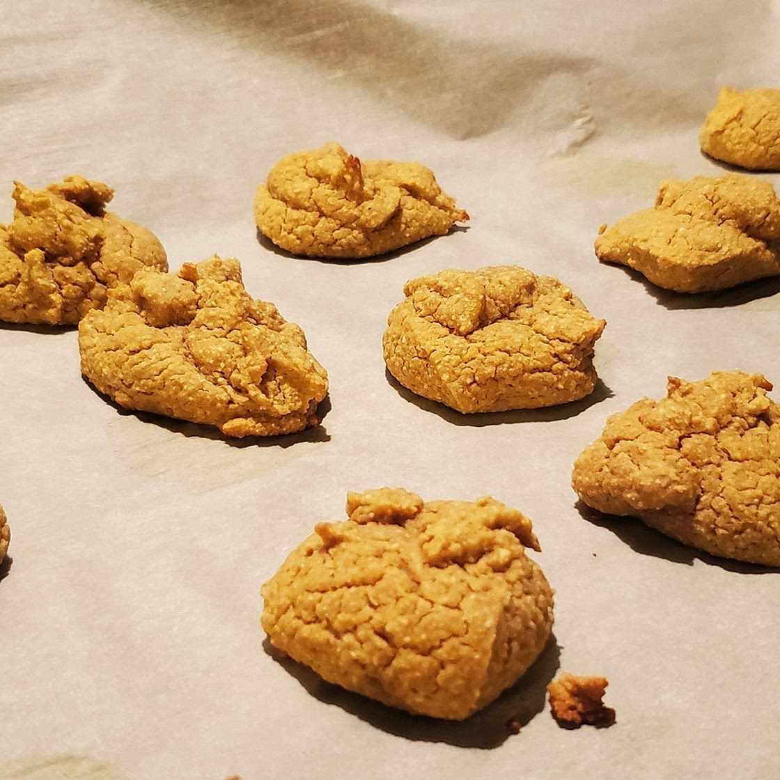Chickpea and Coconut Bites