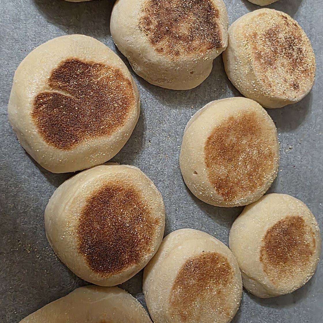 Sourdough English Muffins Recipe