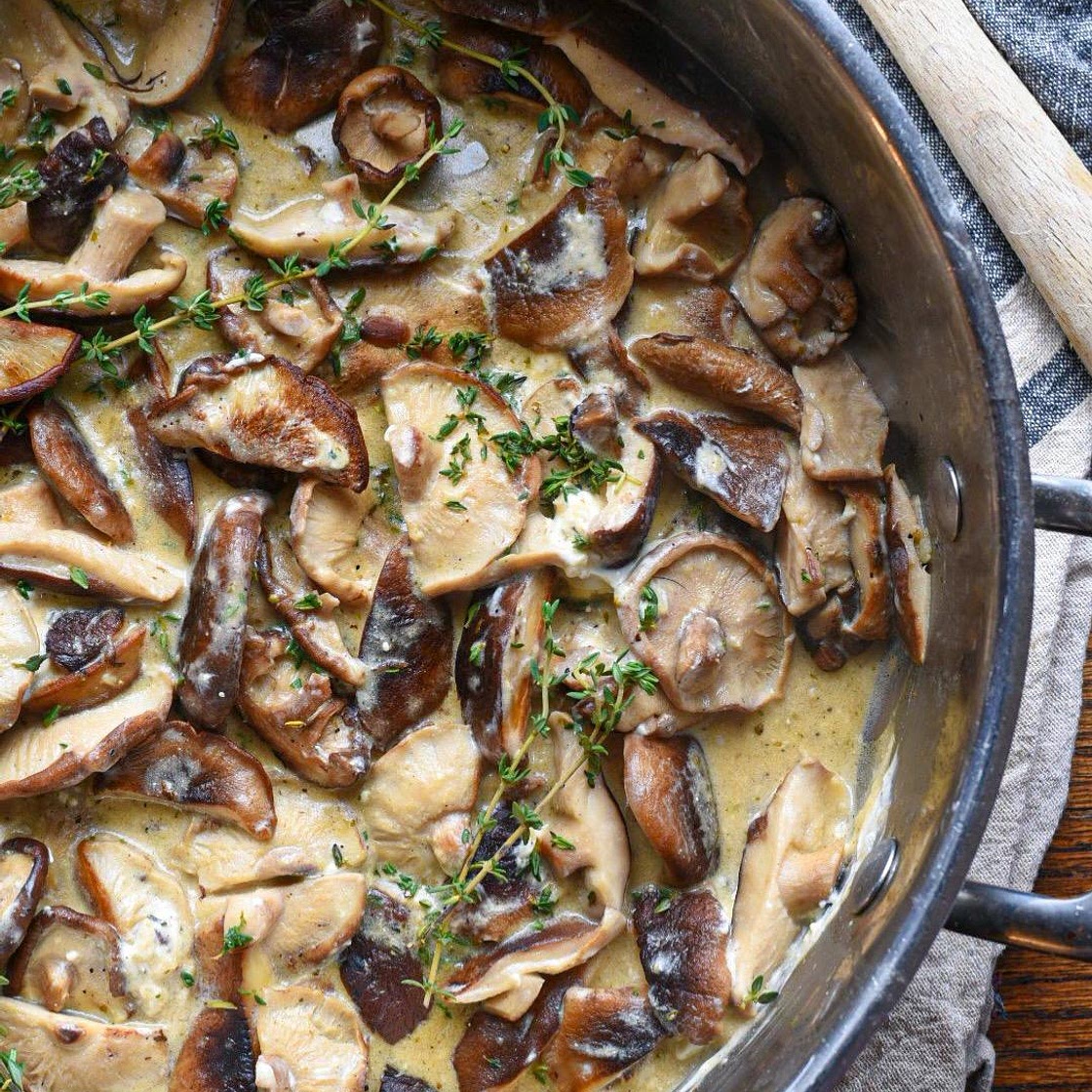 Creamy Mushrooms In Goat Cheese Sauce