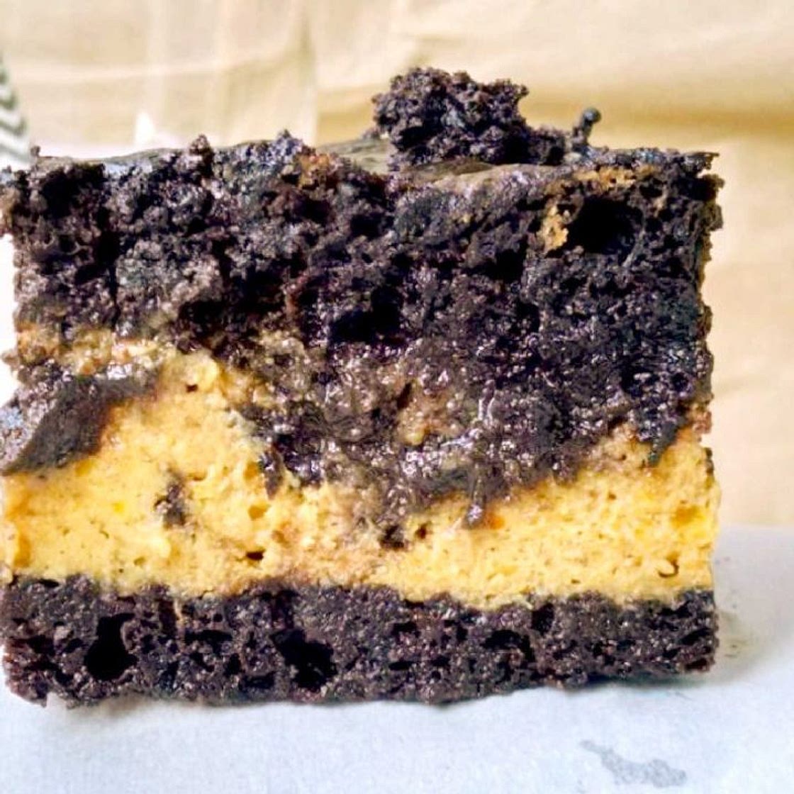 Pumpkin Cheesecake Swirl Brownies