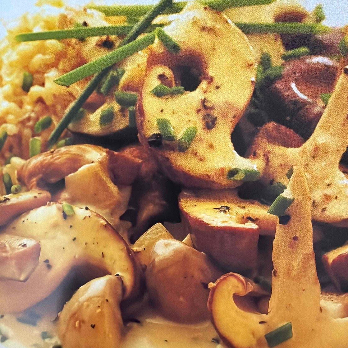 Mushroom Stroganoff