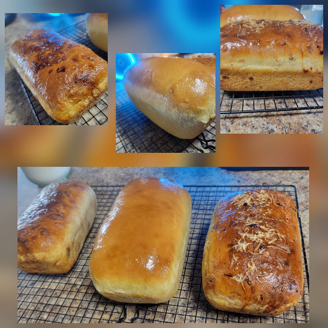 Sourdough Sandwich Bread & Other things...