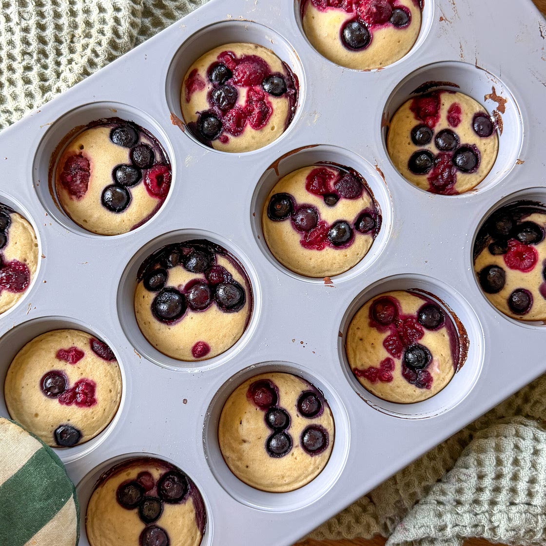 Easy Cheesecake Bites for Toddlers & Babies (no added sugar!)