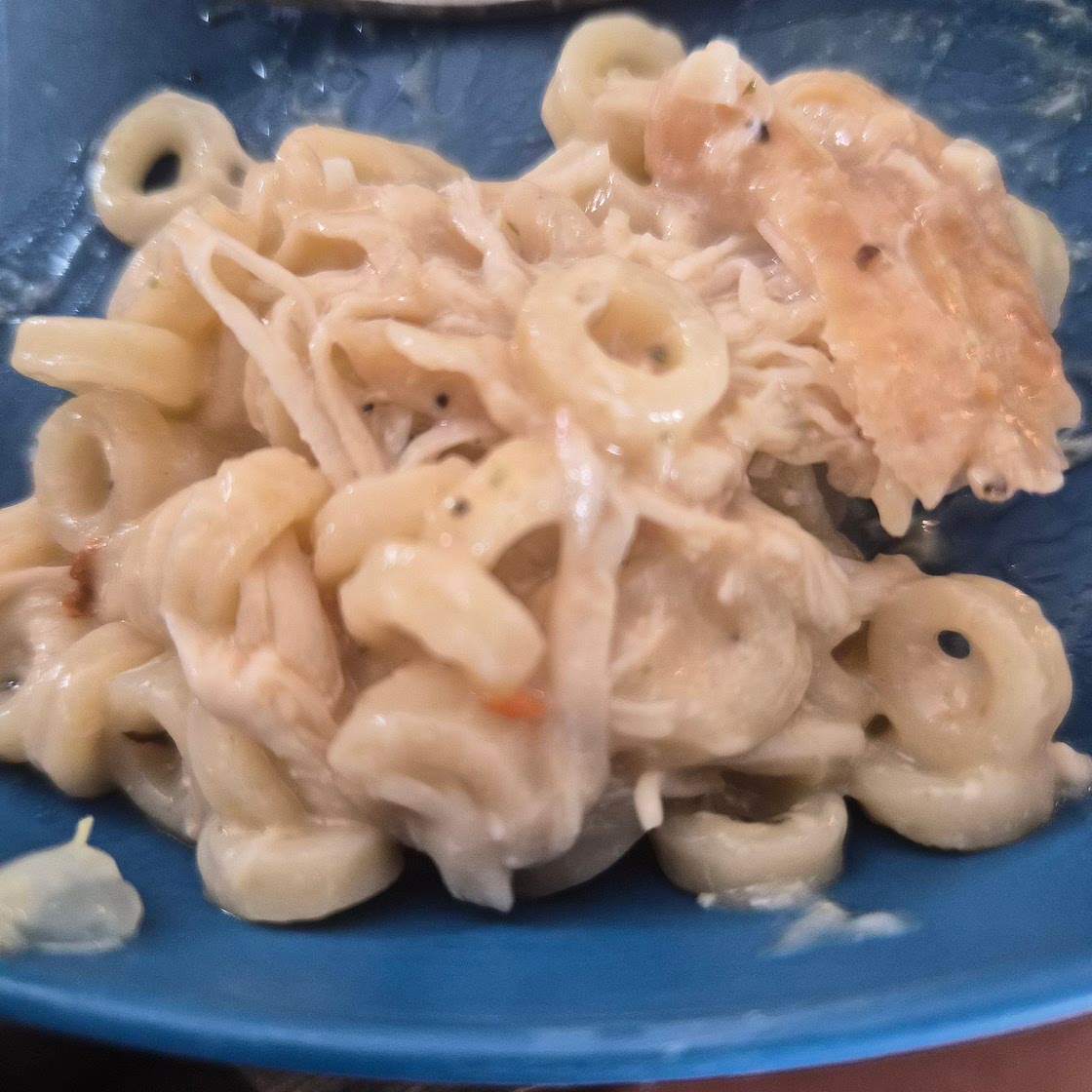 Saucy chicken noodles
