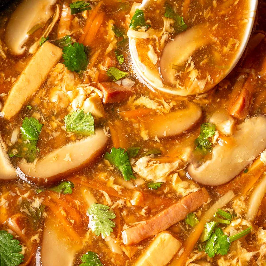 Chinese Hot and Sour Soup