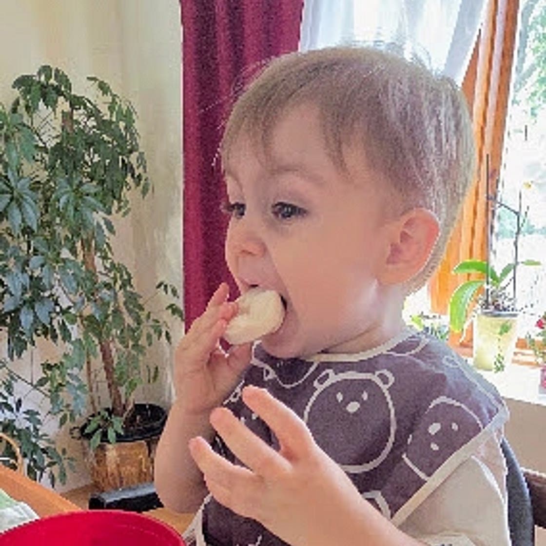 Frozen Yogurt and Banana Snack