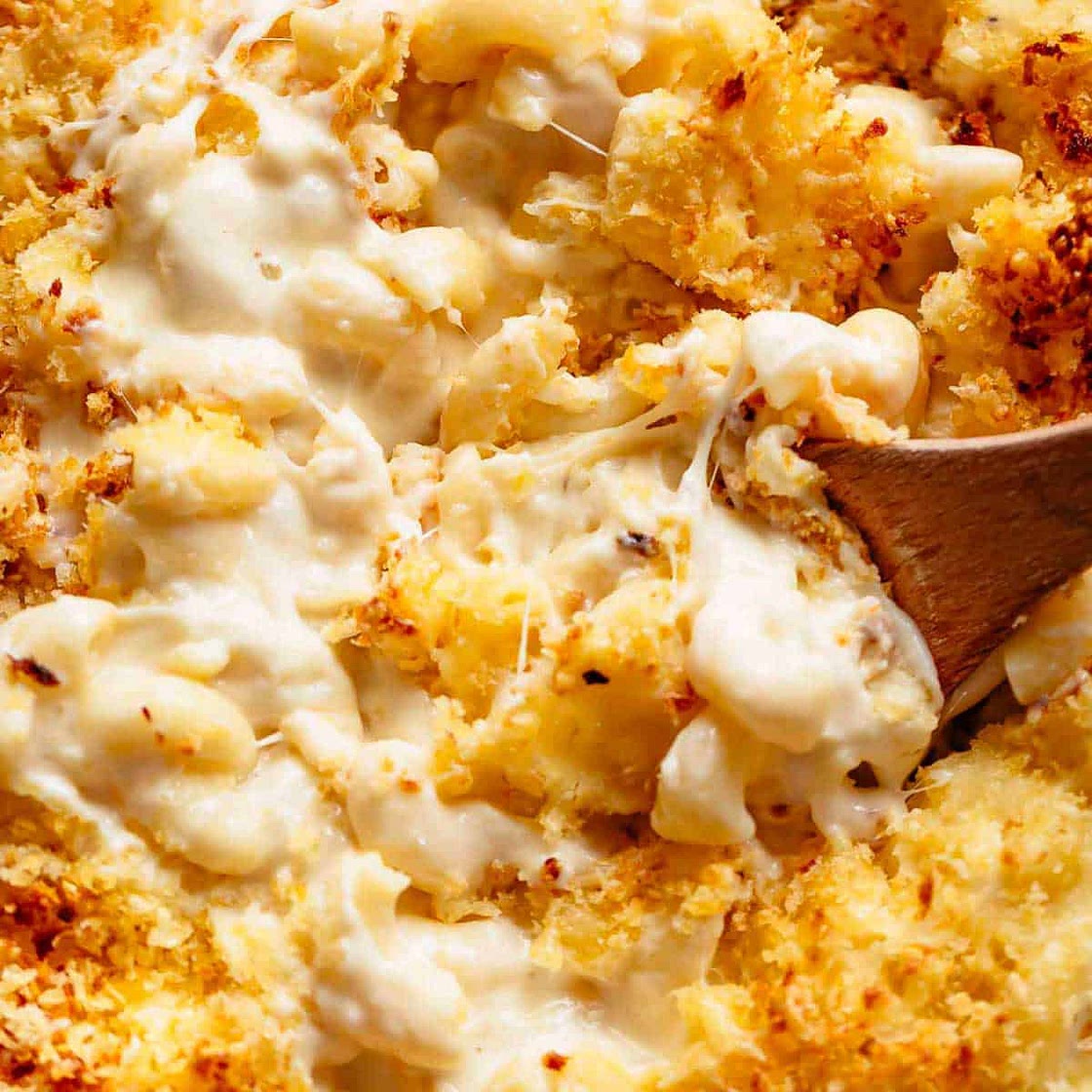 Garlic Parmesan Mac And Cheese