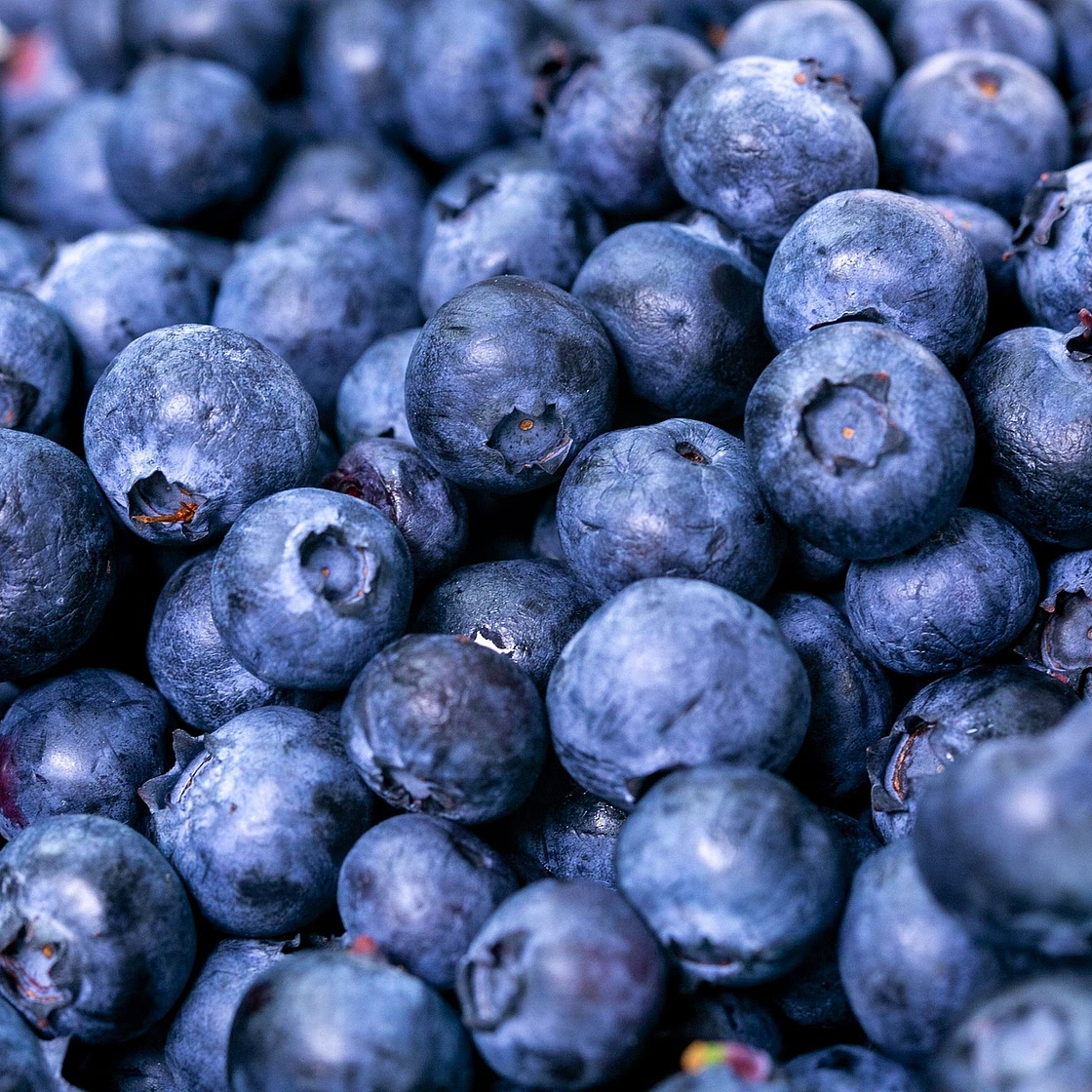BLUEBERRY SALSA