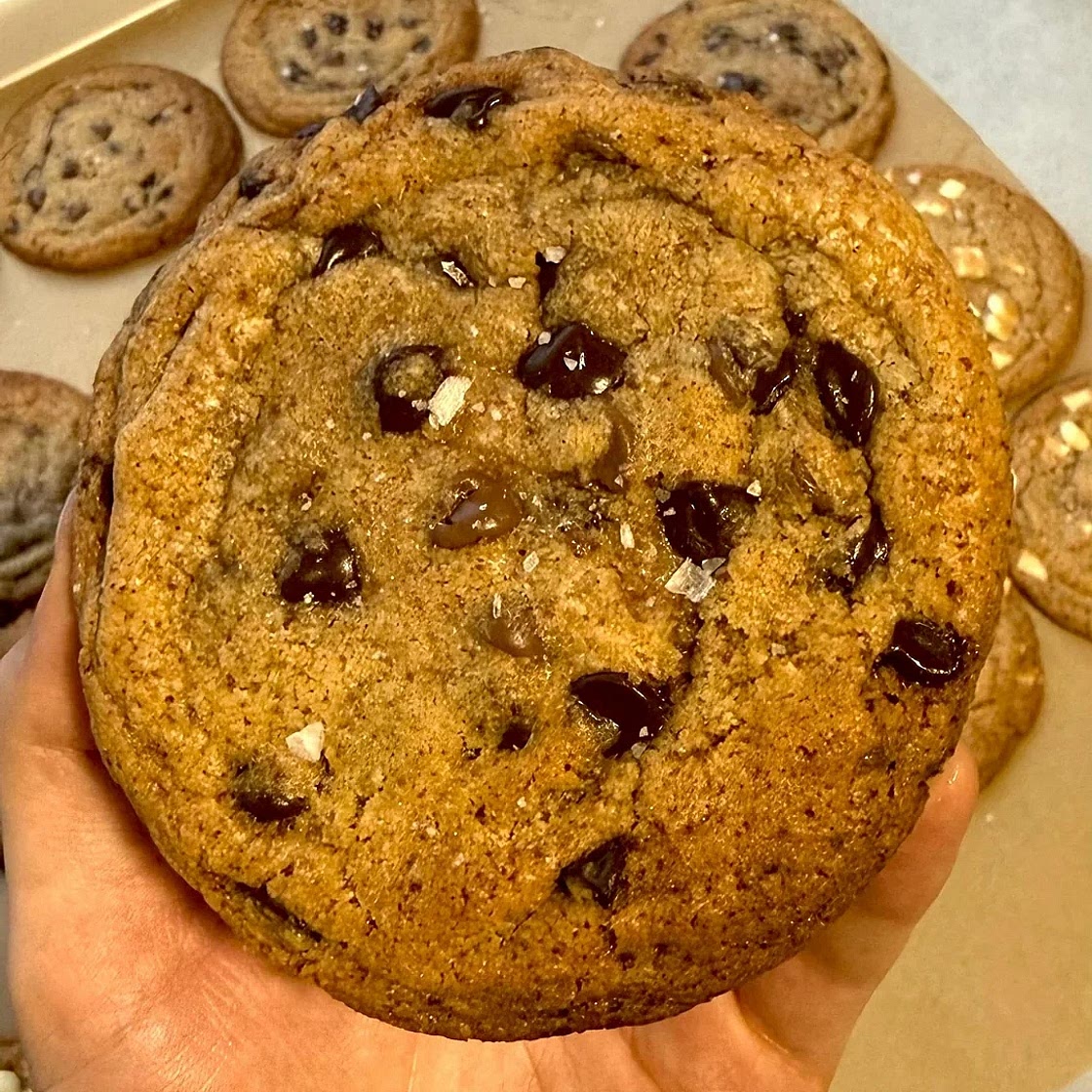 Chocolate Chip Toffee Cookies