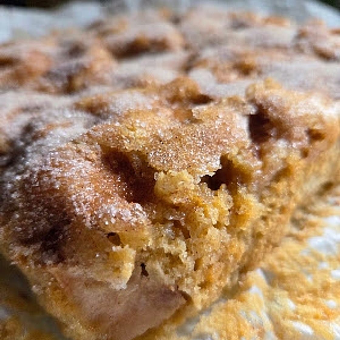 Sourdough Discard Apple Cake