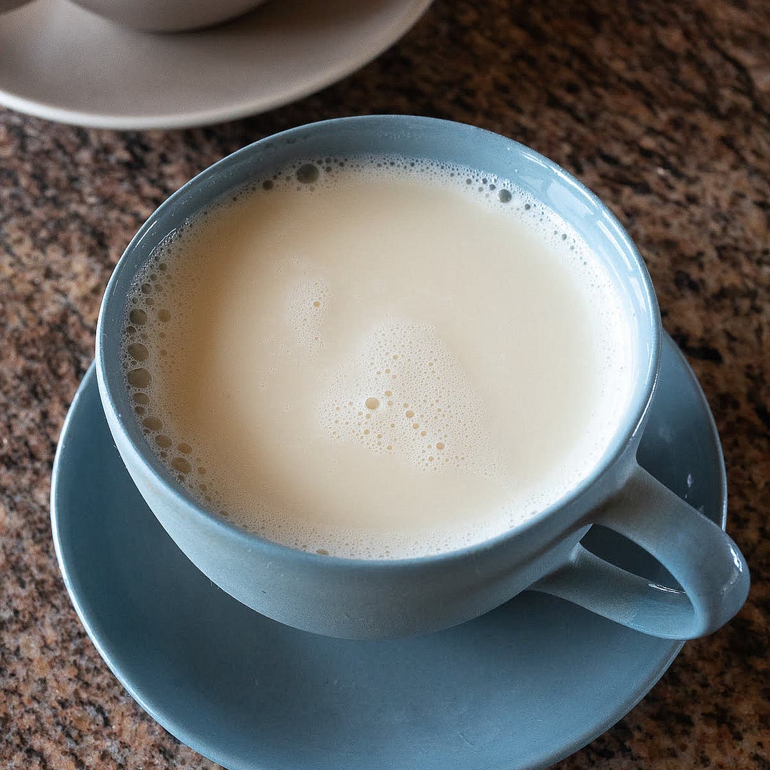 Homemade Soy Milk