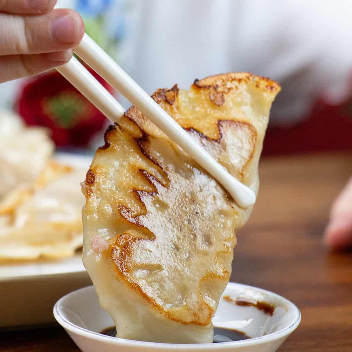 Pan-Fried Jiaozi (Chinese Pork Dumplings)
